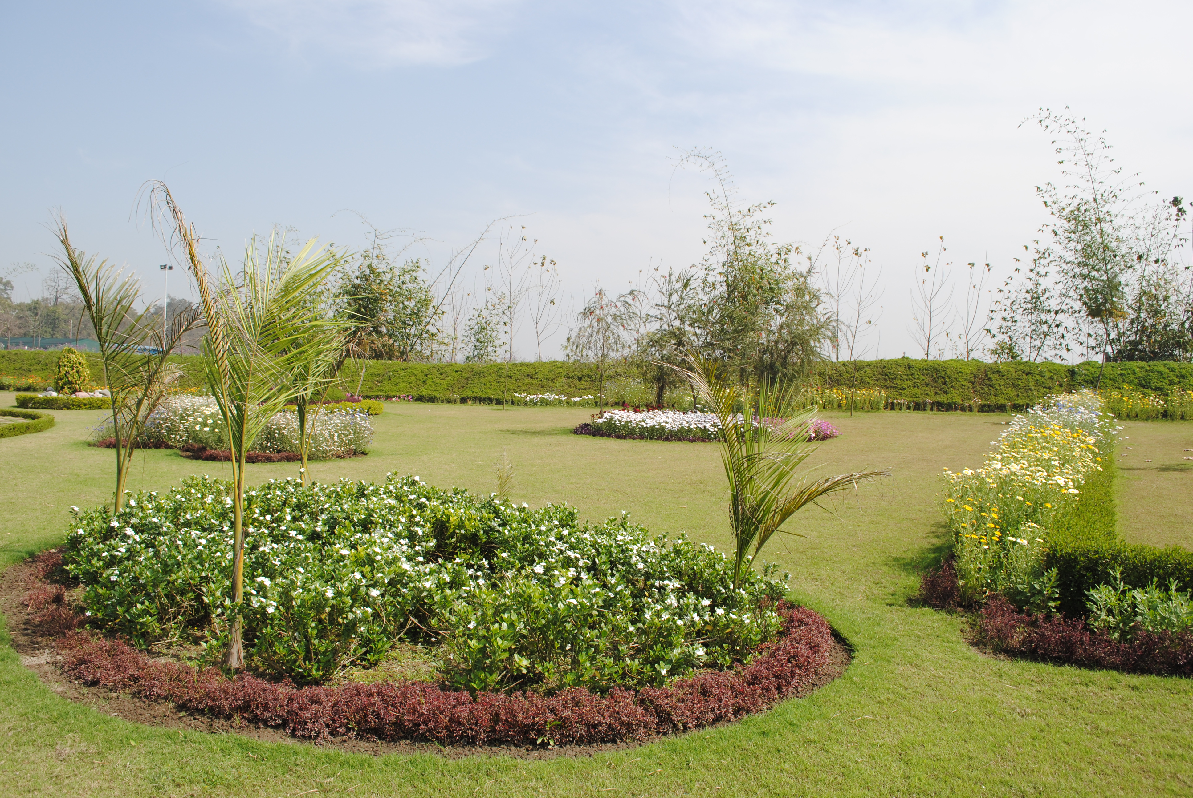 Horticulture 3